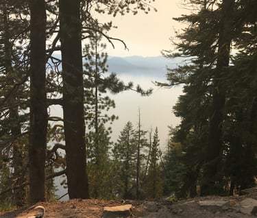Hemlock Forest on trail to Crater Lake