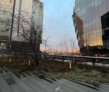Sunrise on the High Line