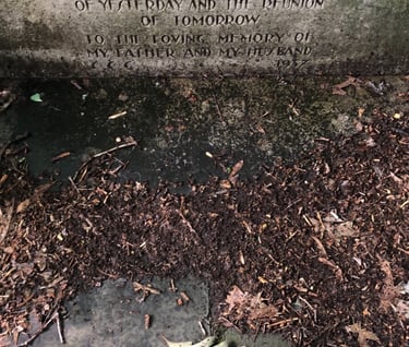 Tombstone in Elmira New York