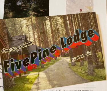 John Human is connected to the Willitts Scheme