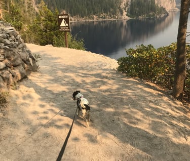 The 1.1 mile hike to Crater Lake Oregon