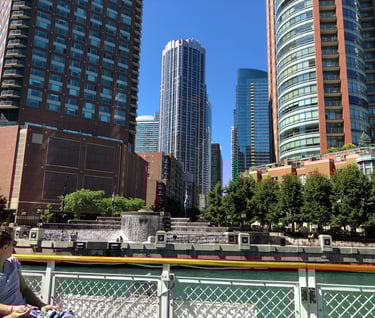 Fulton River District