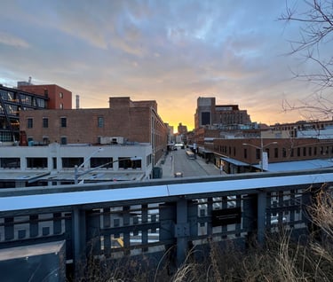 West Side of the High Line NYC