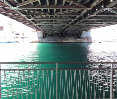 Fulton River District