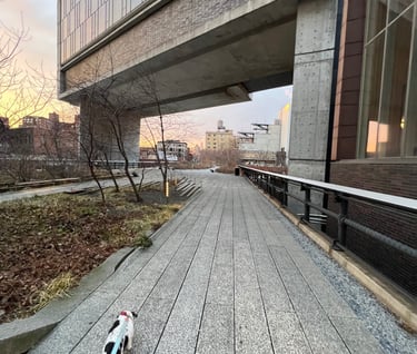 Sunrise on the High Line NYC