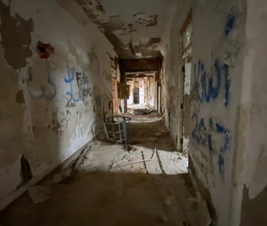 JN Adams Abandoned Hospital New York