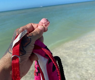 A Perfect Seashell in Florida for my son Maxwell Falk