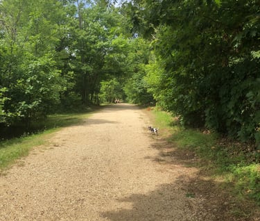 The Path to the Jump Site at the Ledges