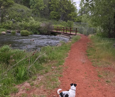 Red Road of Burney California