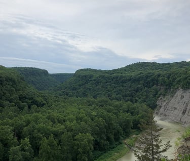 View over Genesee River in New York's Grand Canyon