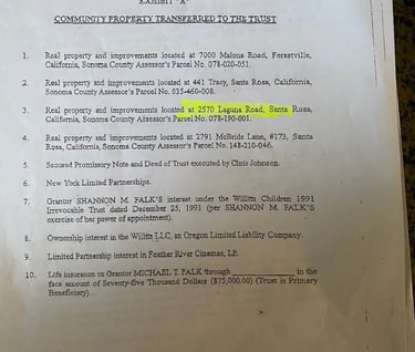 When Shannon Falk Goes to the F.B.I. Bill Willitts commits fraud