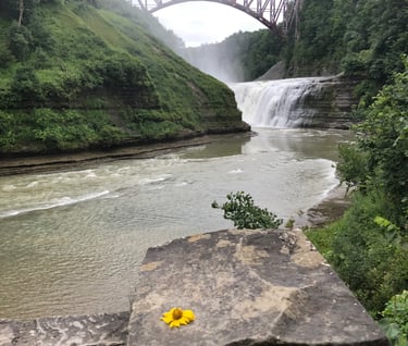 Seneca's Sacred Sehgahunda