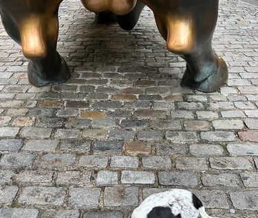 Charging Bull Wall Street New York