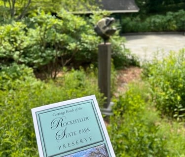 Rockefeller Entitlement Runs Wild in New York