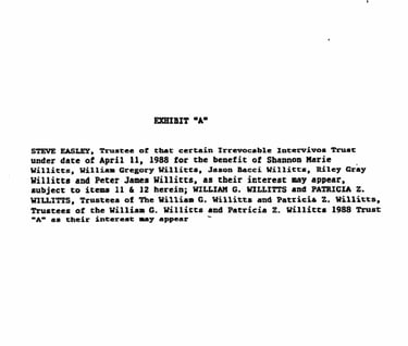 The Bill and Patricia Willitts Cycle of Abuse