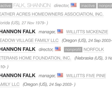 In a Case all about the Wealth of Shannon Falk