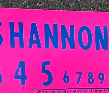 Sexual abuse of Shannon Willitts as a child