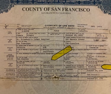 Bill Willittts has been lying since the day Shannon Falk was born