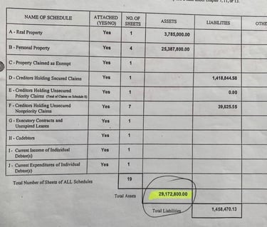 29,172,800.00 Surplus 07-10865