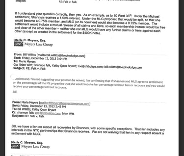 Merle Meyers trying to become a New York Nominee