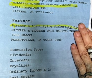 Willitts Constructing a lie on Shannon Falk's marriage Trust