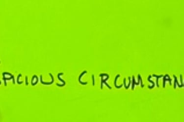 Patricia Willitts won't report Shannon Falk suspicious Deaths