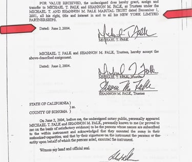 Michael and Shannon Falk 2004 marriage trust