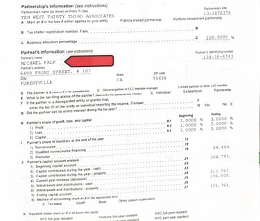 The 2008 K-1 of Michael Falk and Shannon Falk Marital property
