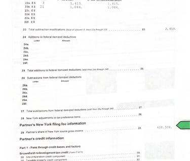 Shannon Falk can do simple math Ron Oliner