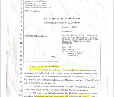 Declaration of John R Perlman