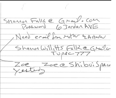 Patricia Willitts Stealing Shannon Falk passwords in 2014