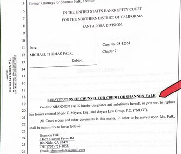 Shannon Falk not Brian Witt says who represents her