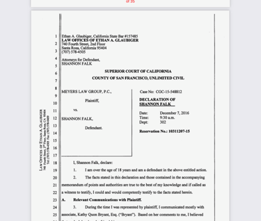 How Shannon Falk's GAF score isn't important