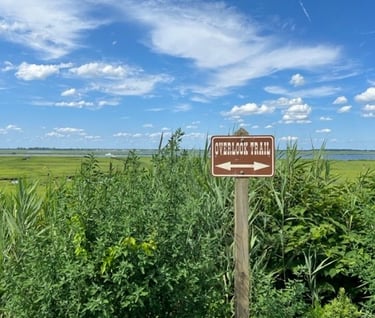 Overlook in Lido Beach Nature Preserve
