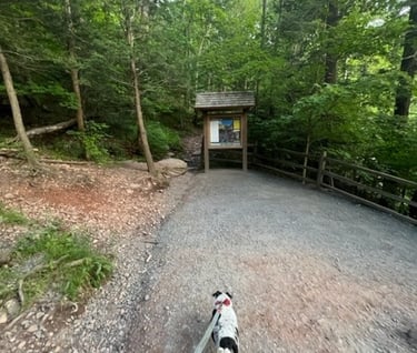 Katterskill falls Catskill New York