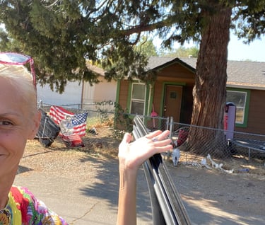 Bill Willitts the fraudster at work