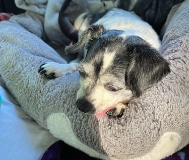 Gigi on Zoe's Birthday