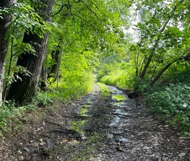 The Road is the Beauty of Nescopeck