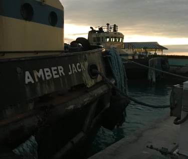 Amber Jack Bahamas