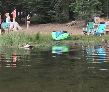 Phew Willitts are hard to dump