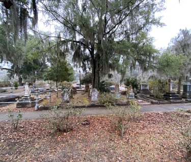 Spanish Moss of Savannah GA