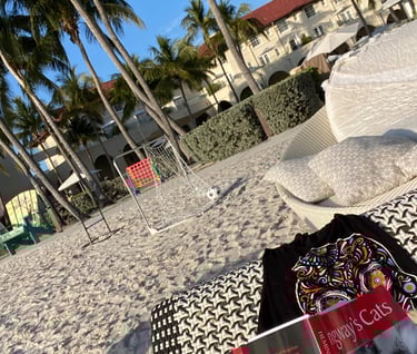 Tilted view from Casa Marina Waldorf Astoria