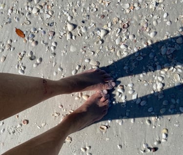 Maxwell Falk is a perfect Sea Shell