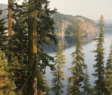 Mountain Hemlock of crater lake