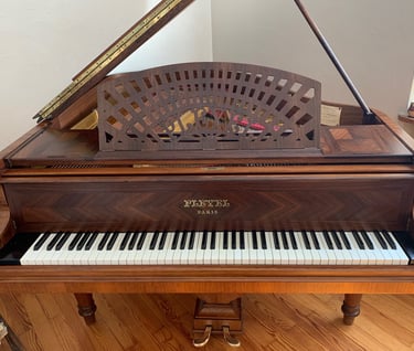 piano pleyel queue