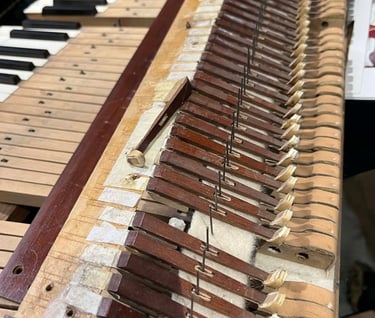 Piano Freudenthaler