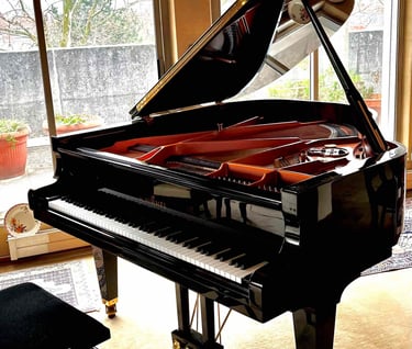 Piano Schimmel queue