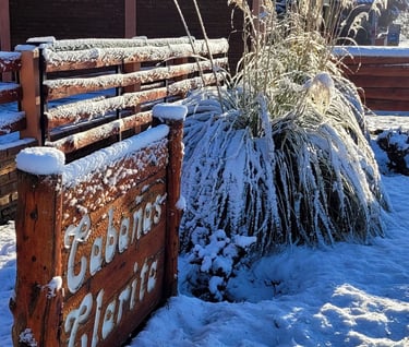 nieve cabañas vacaciones bariloche