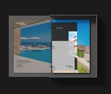 Diseño de material colateral Singular Space