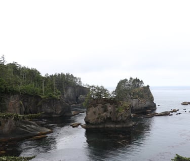 Cape Flattery in Washington State